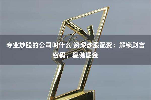专业炒股的公司叫什么 资深炒股配资：解锁财富密码，稳健掘金